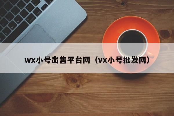 wx小号出售平台网（vx小号批发网）