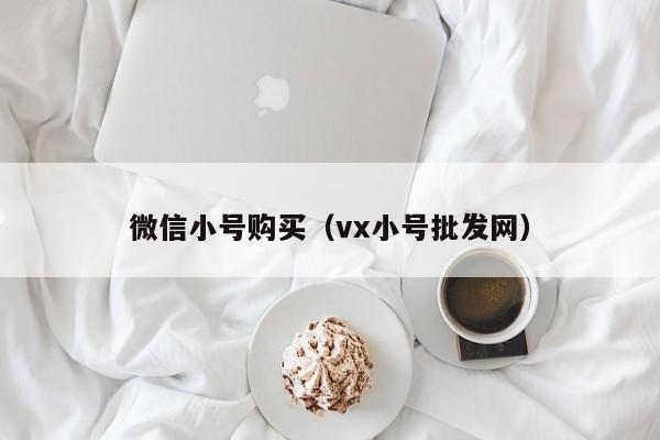 微信小号购买（vx小号批发网）