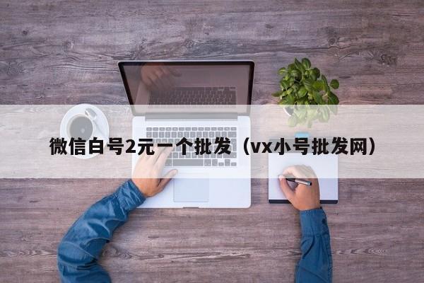 微信白号2元一个批发（vx小号批发网）