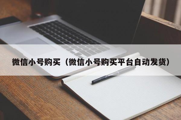 微信小号购买（微信小号购买平台自动发货）