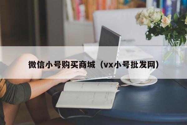 微信小号购买商城（vx小号批发网）