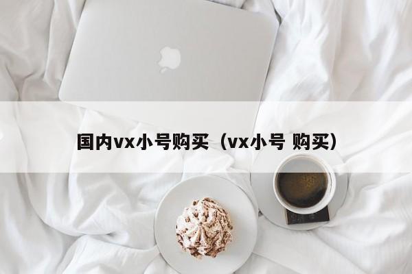 国内vx小号购买（vx小号 购买）