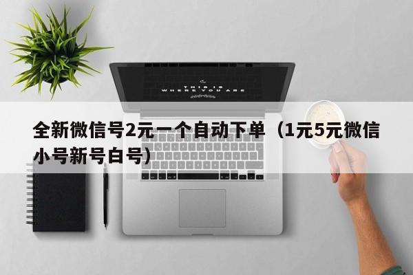 全新微信号2元一个自动下单（1元5元微信小号新号白号）