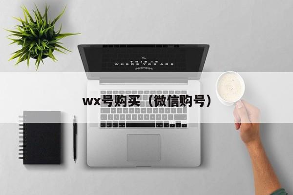 wx号购买（微信购号）